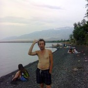  ,   Kot, 61 ,   