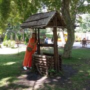 ���������� ������, ���� ������� ������, 43 ����, ������������ ��� ������, ����� � ���������, c�������� ���������, ���������