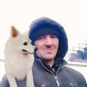 ���������� ���������, ���� ������� ������, 50 ���, ������������ ��� ������, ����� � ���������, ���������