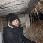  ,   , 54 ,   ,   