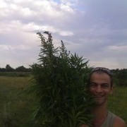 ���������� �����-���������, ���� ������� �����, 40 ���, ������������ ��� ������, ����� � ���������, c�������� ���������, ���������