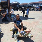  ,   , 44 ,  