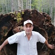 ���������� �������, ���� ������� �������, 43 ����, ������������ ��� ������, ����� � ���������