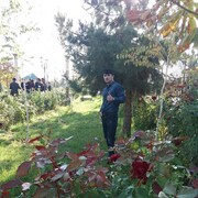 ���������� �������, ���� ������� �����, 31 ���, ������������ ��� ������, ����� � ���������