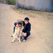  ,  1 BARON 1, 31