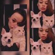  ,   , 22 ,   
