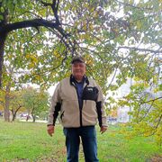  ,   , 66 ,   c , 