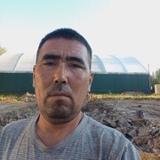  ,   , 43 ,   ,   