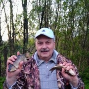  ,   , 62 ,   ,   