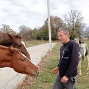 ���������� ������-��-����, ���� ������� ���, 42 ����, ������������ ��� ������, ����� � ���������, c�������� ���������