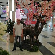  ,   , 49 ,     , c 