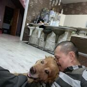 ���������� �����������, ���� ������� ���, 43 ����, ������������ ��� ������, ����� � ���������, c�������� ���������