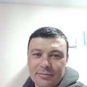  --,   , 41 ,   ,   