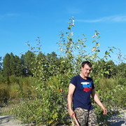 ���������� �������, ���� ������� ���������, 41 ���, ������������ ��� ������, ����� � ���������, c�������� ���������