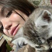 ���������� �����, ���� ������� ����, 26 ���, ������������ ��� ������, ����� � ���������