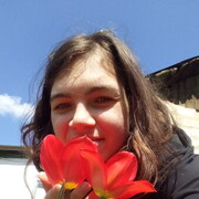 ���������� �����������, ������