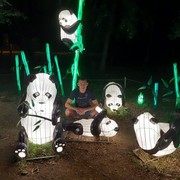 ���������� ������, ���� ������� �����, 37 ���, ������������ ��� ������