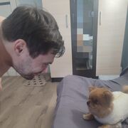 ���������� �����, ���� ������� ���������, 34 ����, ������������ ��� ������, ����� � ���������, c�������� ���������