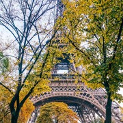 �����.2019�