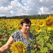  ,   , 65 ,  