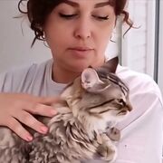 ���������� ������������, ���� ������� �����, 50 ���, ������������ ��� ����� � ���������, c�������� ���������