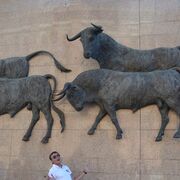 ���������� �����, ���� ������� ������, 37 ���, ������������ 