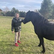 ���������� ��������, ���� ������� ��, 26 ���, ������������ ��� ������, ����� � ���������