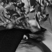 ���������� �����, ���� ������� ������, 42 ����, ������������ ��� ������, ����� � ���������, c�������� ���������, ���������