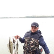  ,   , 46 ,   