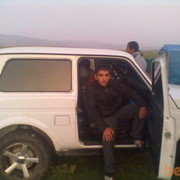 ���������� ������, ���� ������� MOSO, 33 ����, ������������ ��� ����� � ���������, c�������� ���������, ���������