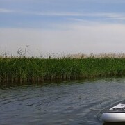 ���������� ���������, ���� ������� ���������, 42 ����, ������������ ��� ������, ����� � ���������