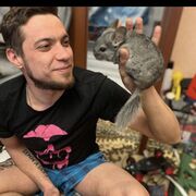 ���������� ����������, ���� ������� ����, 33 ����, ������������ ��� ������, ����� � ���������, c�������� ���������, ���������