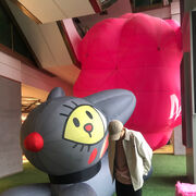 ���������� ������, ���� ����� ��, 24 ����, ������������ ��� ������, ����� � ���������