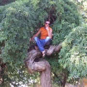  ,   , 50 ,   