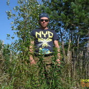  ,   Gendosav, 42 ,   