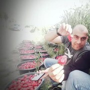 ���������� ������, ���� ������� �����, 36 ���, ������������ ��� ������, ����� � ���������, ���������