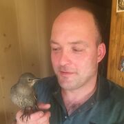 ���������� ����, ���� ������� �����, 41 ���, ������������ ��� ������, ����� � ���������