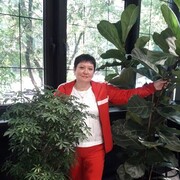 ���������� ������, ���� ������� �������, 60 ���, ������������ ��� ������, ����� � ���������