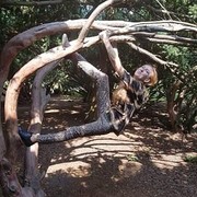  ,   , 54 ,     , c 