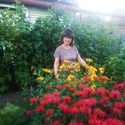  ,   , 61 ,   ,   , c 