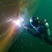 ���������� ������, ���� ����� ������, 24 ����, ������������ ��� ������, ����� � ���������, c�������� ���������, ���������