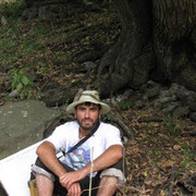  ,   Argo, 42 ,   