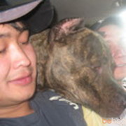  ,   Arman, 38 ,   ,   , c 