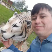 ���������� �������, ���� ������� ����, 40 ���, ������������ ��� ������, ����� � ���������