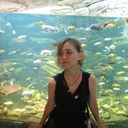 ���������� ������ ��������, ���������