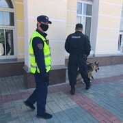 ���������� �����������, ���� ������� ���������, 29 ���, ������������ ��� ������, ����� � ���������, c�������� ���������, ���������