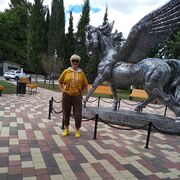  ,   , 55 ,   c 