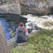 ���������� ������, ���� ������� ���, 29 ���, ������������ ��� ������, ����� � ���������