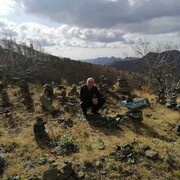 ���������� ����-���������, ���� ������� �������, 43 ����, ������������ ��� ������, ����� � ���������, c�������� ���������