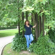  ,   , 48 ,   c 